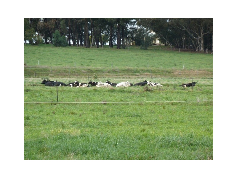 2009 McBain Road, Koyuga VIC 3622