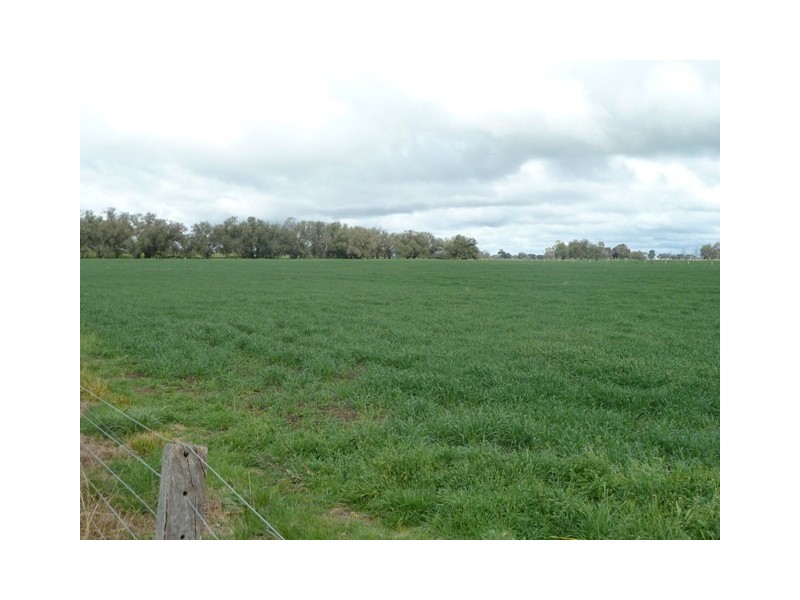 2009 McBain Road, Koyuga VIC 3622
