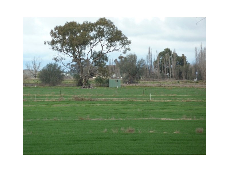 2009 McBain Road, Koyuga VIC 3622