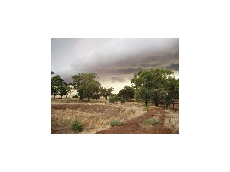 LOT 3 THYRA ROAD, Moama NSW 2731