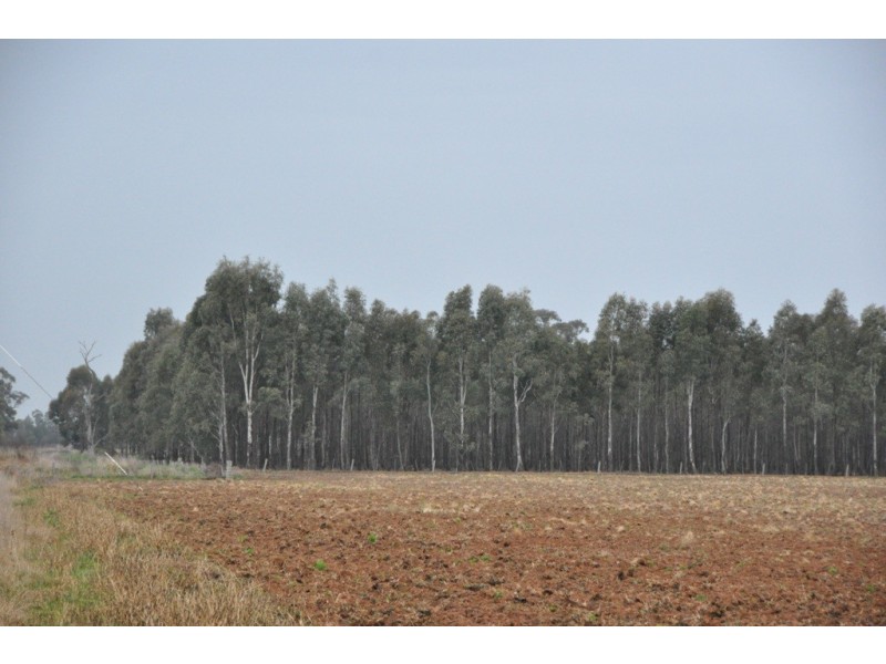 535 Minchin Rd, Ardmona VIC 3629