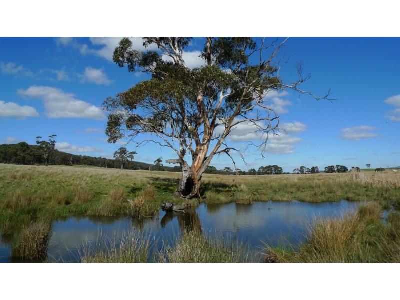 - Mt William Road, Lancefield via, Kilmore VIC 3764