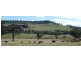 - Mt William Road, Lancefield via, Kilmore VIC 3764