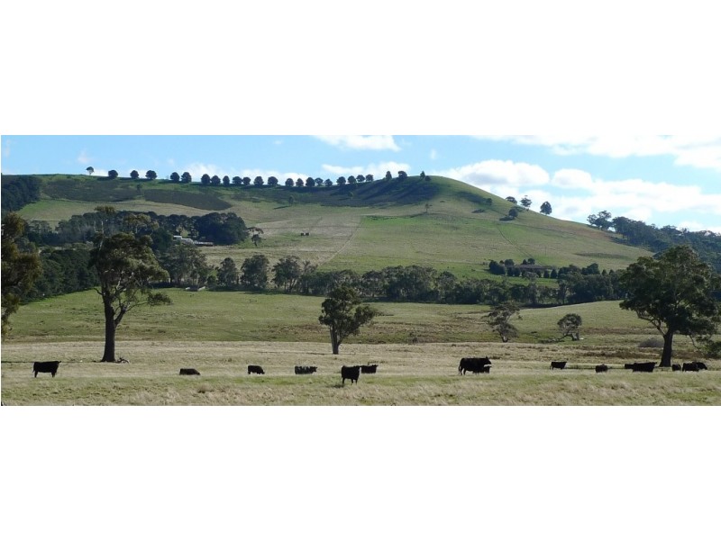 - Mt William Road, Lancefield via, Kilmore VIC 3764