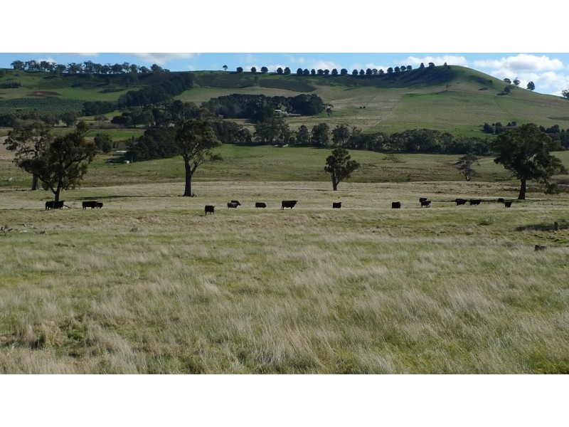 - Mt William Road, Lancefield via, Kilmore VIC 3764