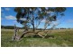 - Mt William Road, Lancefield via, Kilmore VIC 3764