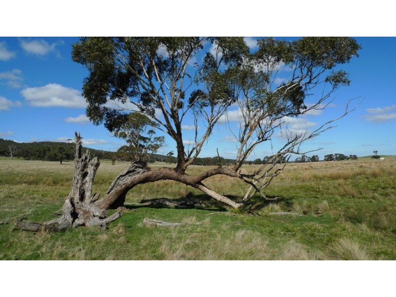 - Mt William Road, Lancefield via, Kilmore VIC 3764