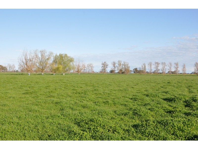 375 Sandmount Road, Katunga VIC 3640