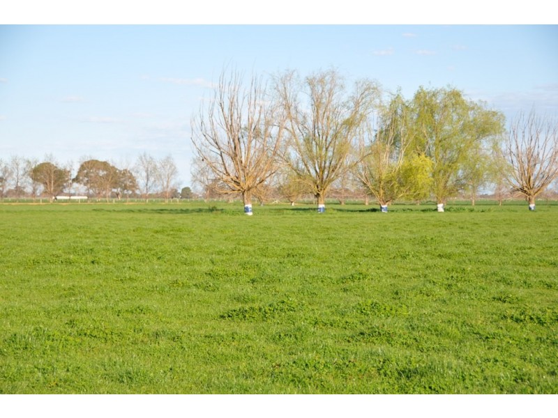 375 Sandmount Road, Katunga VIC 3640