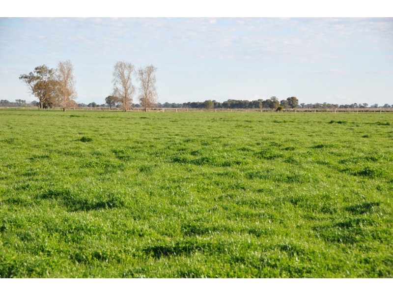 375 Sandmount Road, Katunga VIC 3640