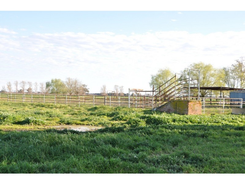 375 Sandmount Road, Katunga VIC 3640