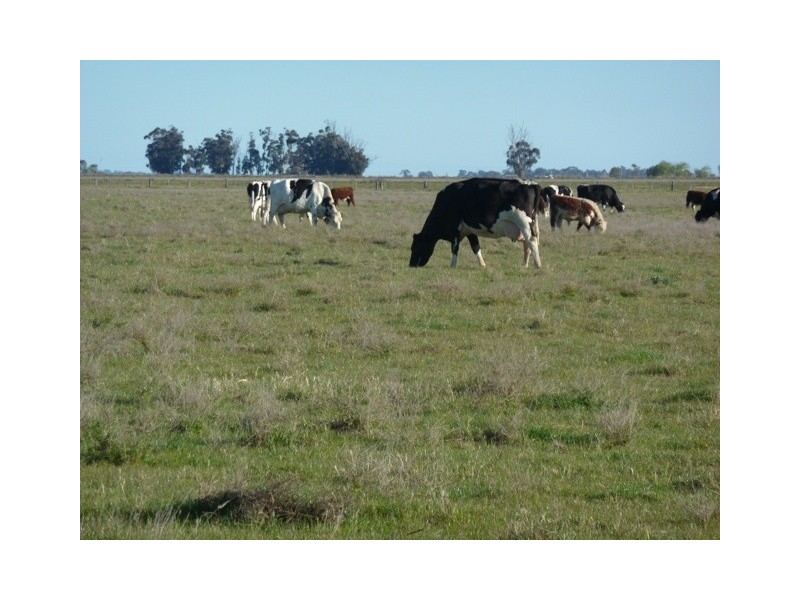 M/V Highway and Simmie Road, Echuca VIC 3564