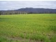 - STAWELL -, Ararat VIC 3377