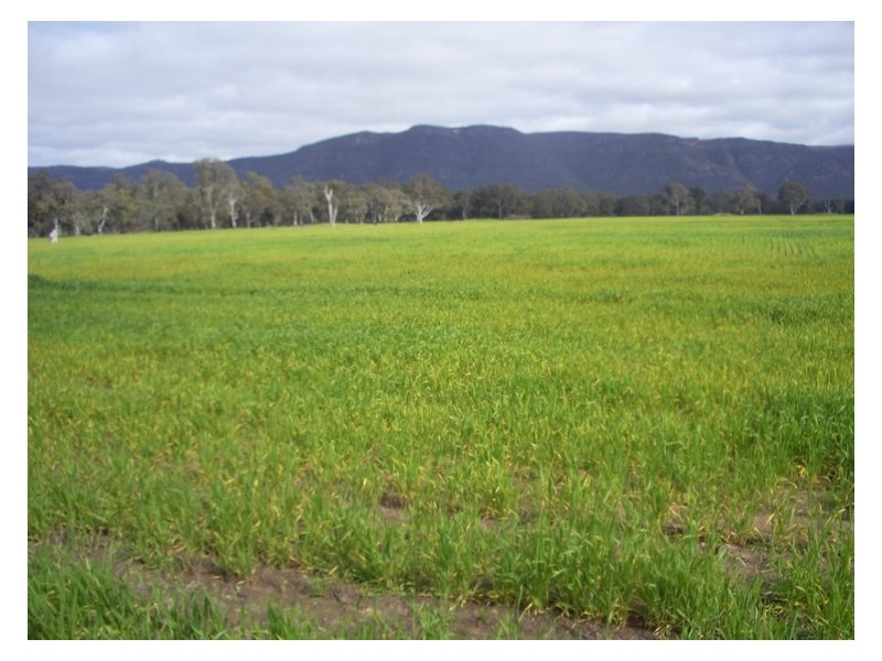 - STAWELL -, Ararat VIC 3377