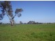 - STAWELL -, Ararat VIC 3377