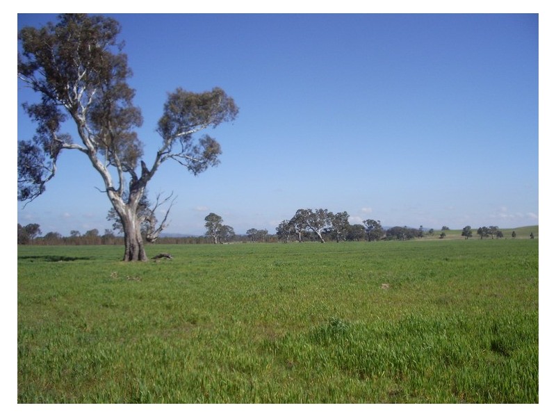 - STAWELL -, Ararat VIC 3377