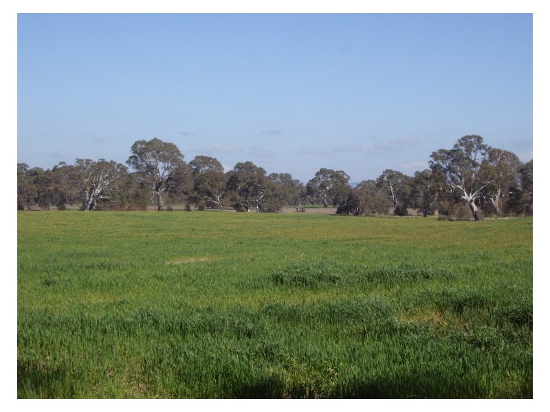 - STAWELL -, Ararat VIC 3377