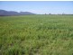 - STAWELL -, Ararat VIC 3377