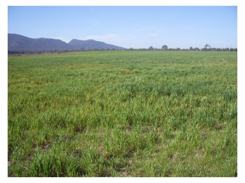 - STAWELL -, Ararat VIC 3377