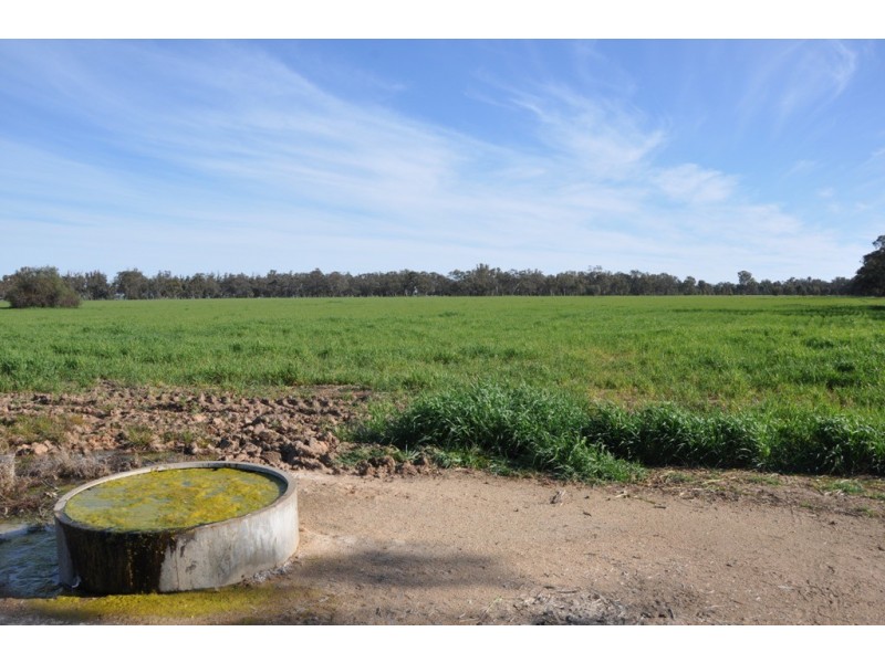 671 Lancaster Rd, Yielima VIC 3638