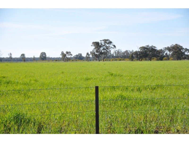 671 Lancaster Rd, Yielima VIC 3638