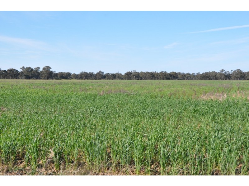 671 Lancaster Rd, Yielima VIC 3638