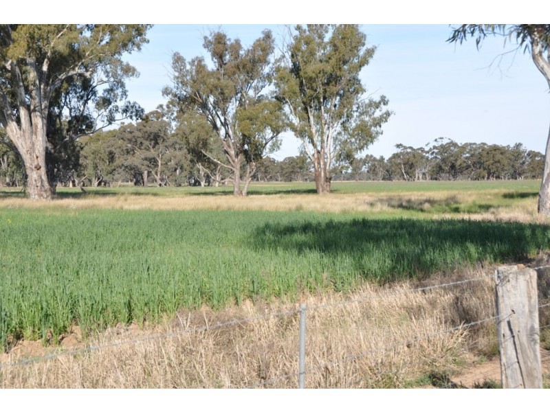 671 Lancaster Rd, Yielima VIC 3638
