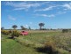 - Olivers Ln West, Elphinstone VIC 3448