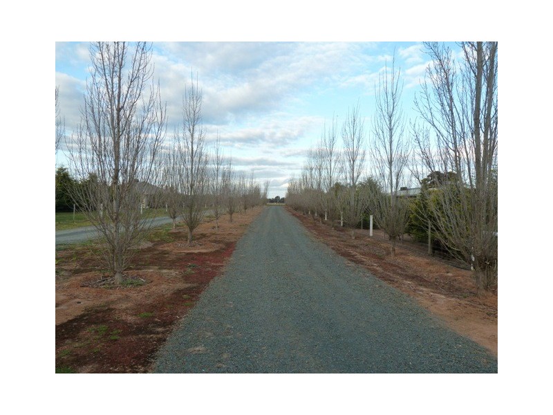 Cohen Street, Rochester VIC 3561