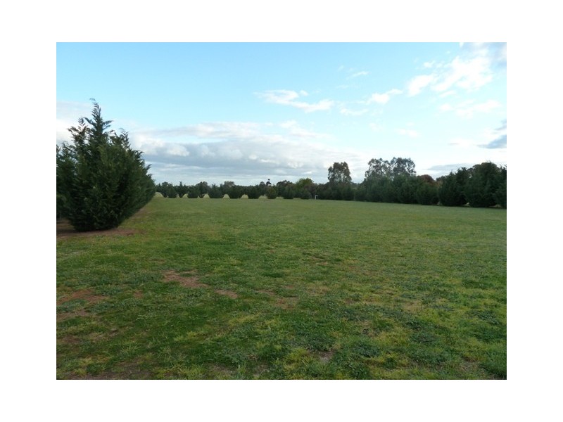 Cohen Street, Rochester VIC 3561