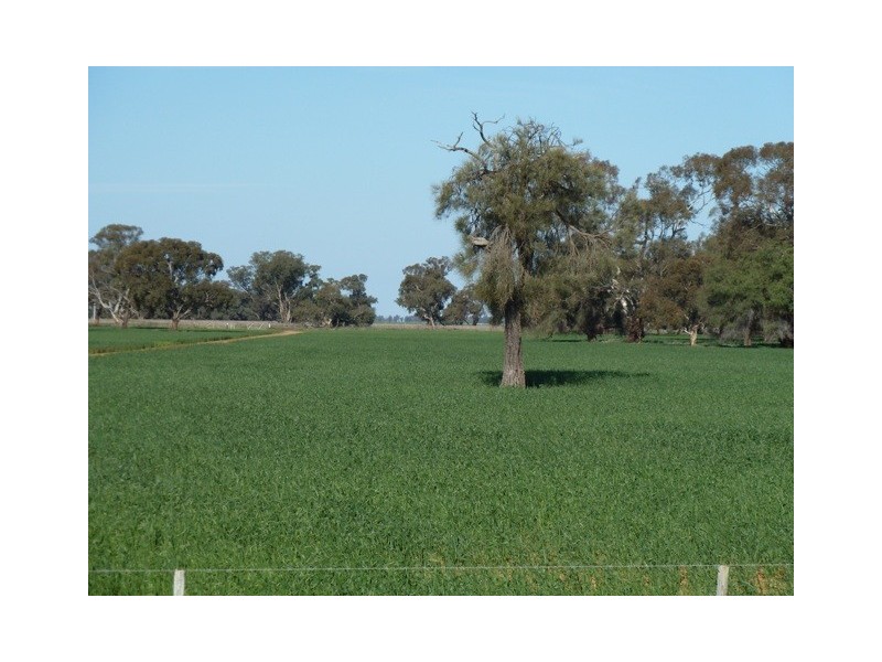 2248 Tantonan Road, Bunnaloo NSW 2731