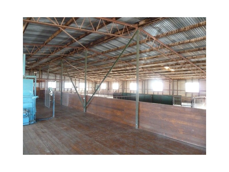 2248 Tantonan Road, Bunnaloo NSW 2731