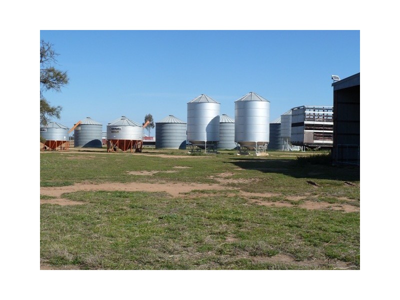 2248 Tantonan Road, Bunnaloo NSW 2731