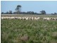 2248 Tantonan Road, Bunnaloo NSW 2731