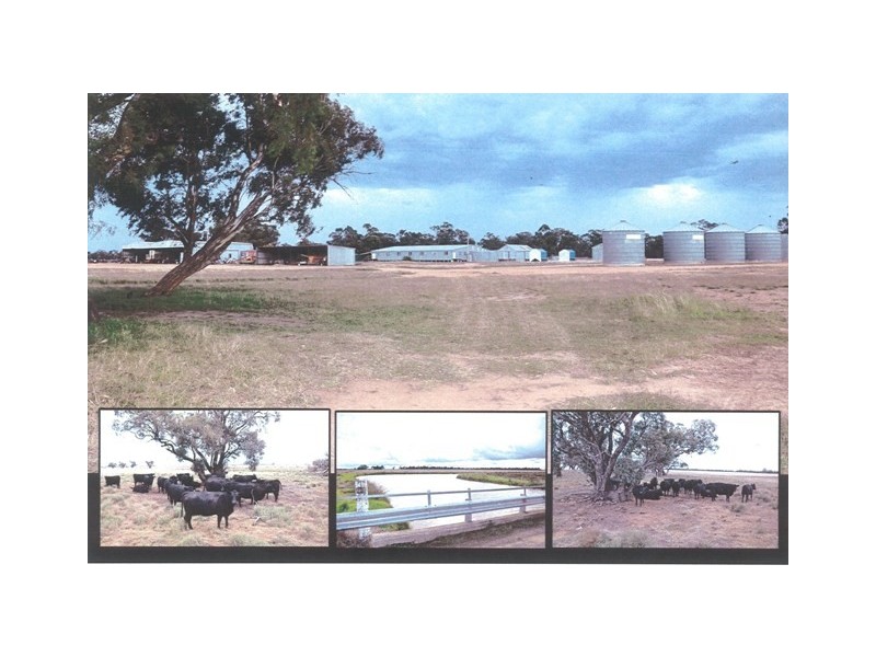 2248 Tantonan Road, Bunnaloo NSW 2731