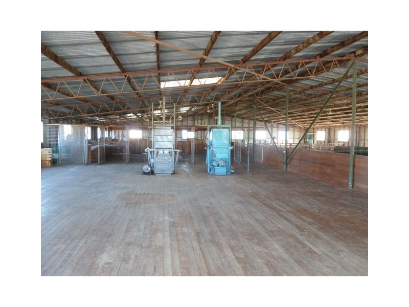 2248 Tantonan Road, Bunnaloo NSW 2731