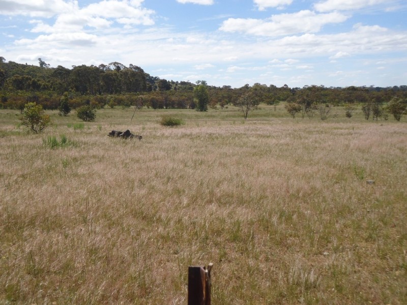 Landsborough VIC 3384