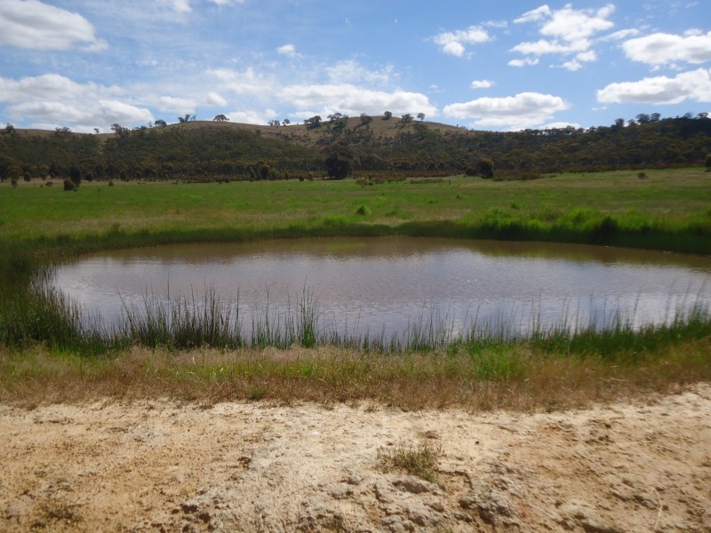 Landsborough VIC 3384