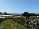 96 Macclesfield Road, Monbulk VIC 3793