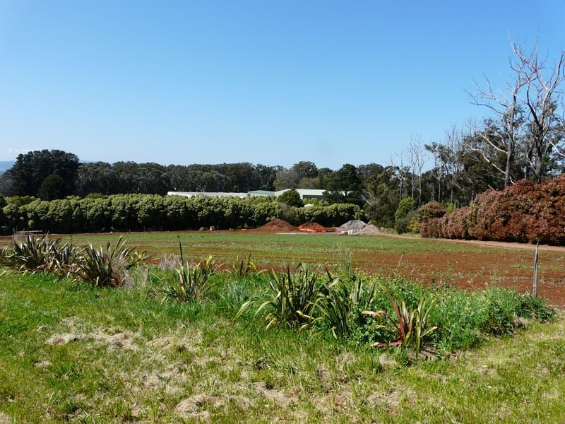96 Macclesfield Road, Monbulk VIC 3793