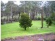 1441 Maroondah Hwy, Buxton VIC 3711