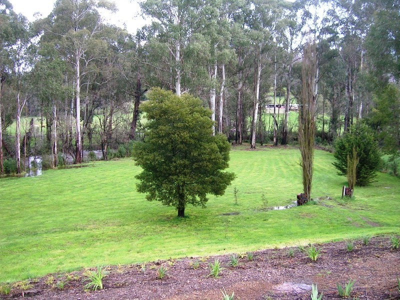 1441 Maroondah Hwy, Buxton VIC 3711