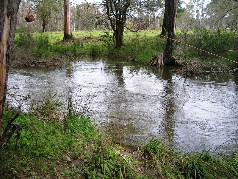 1441 Maroondah Hwy, Buxton VIC 3711