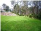 1441 Maroondah Hwy, Buxton VIC 3711