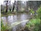 1441 Maroondah Hwy, Buxton VIC 3711