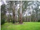 1441 Maroondah Hwy, Buxton VIC 3711
