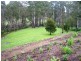 1441 Maroondah Hwy, Buxton VIC 3711
