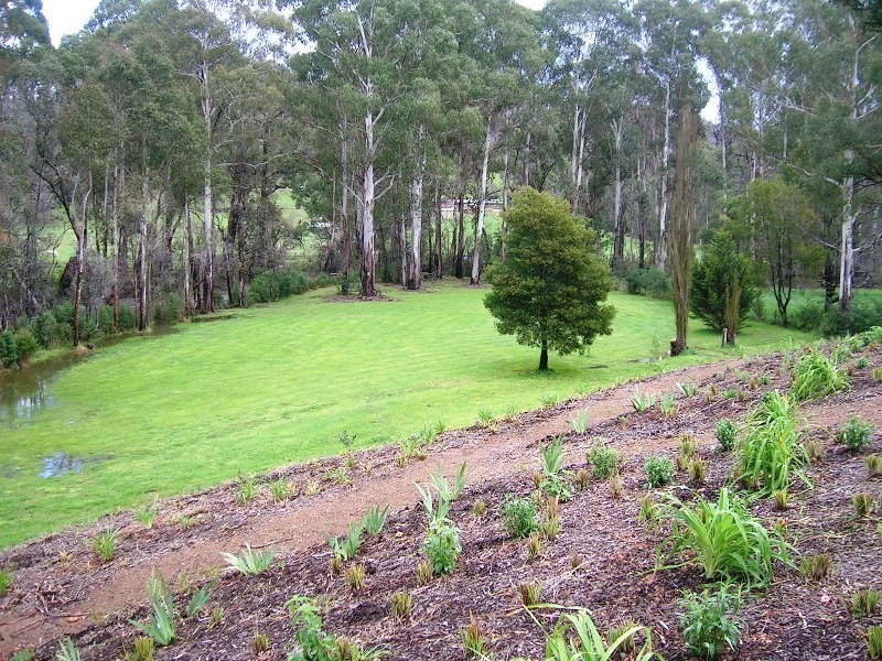 1441 Maroondah Hwy, Buxton VIC 3711