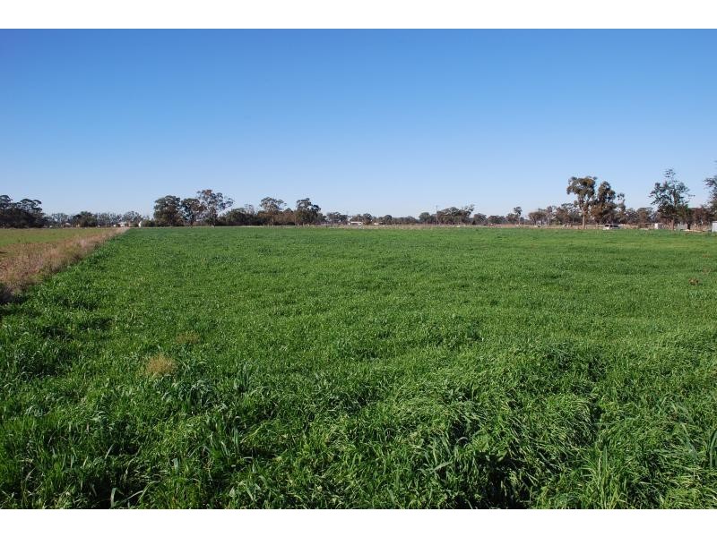 75 Kerrs Road, Bunbartha VIC 3634