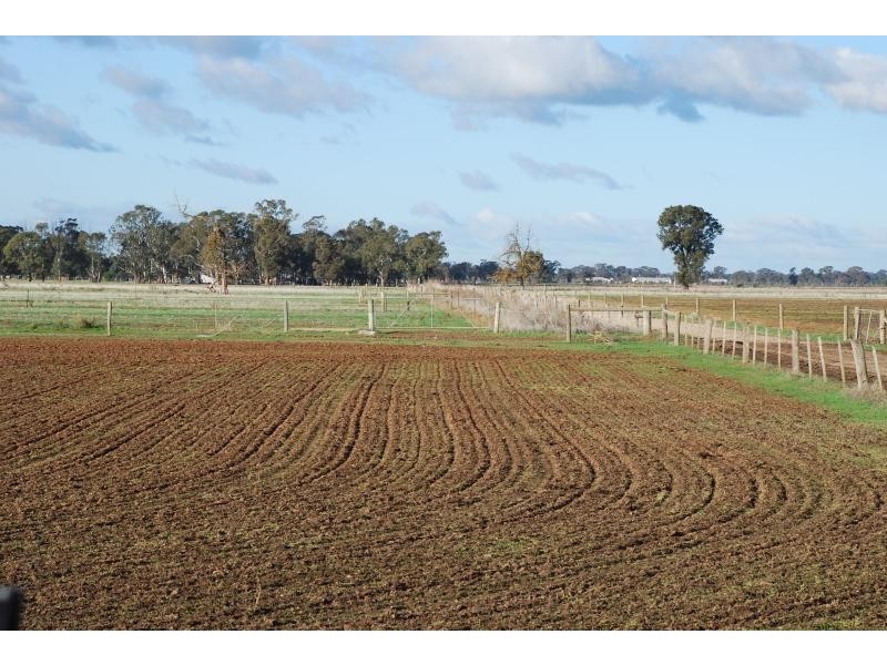 80 Kerrs Road, Bunbartha VIC 3634